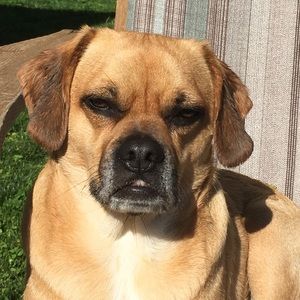 Meet your Posher, Brandon